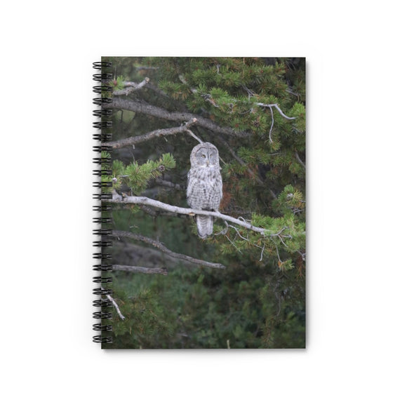 Spiral Notebook - Great Grey Owl