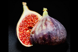 Mediterranean Fig | Traveler's Collection | 5.5 Oz Tin