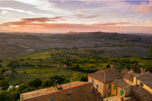 Tuscan Vineyard | Traveler's Collection | 5.5 Oz Tin